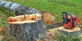Best Tree Cabling and Bracing  in Brea, CA